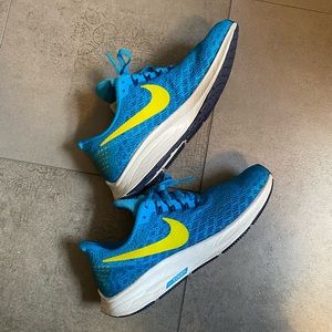 Nike Zoom Pegasus 35